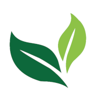 Logo Billz